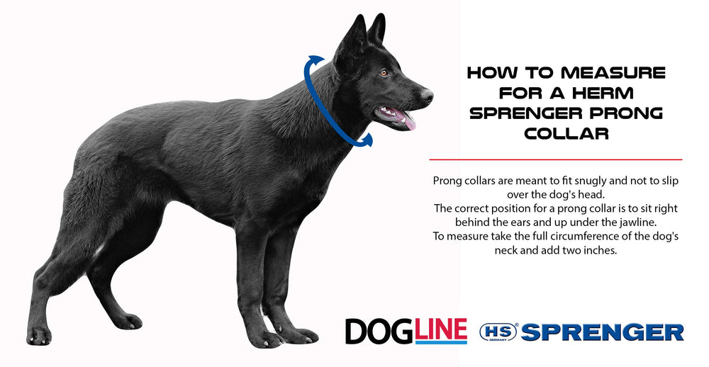 Herm Sprenger prong-links close-up demonstrates interlocking links for consistent tightening.