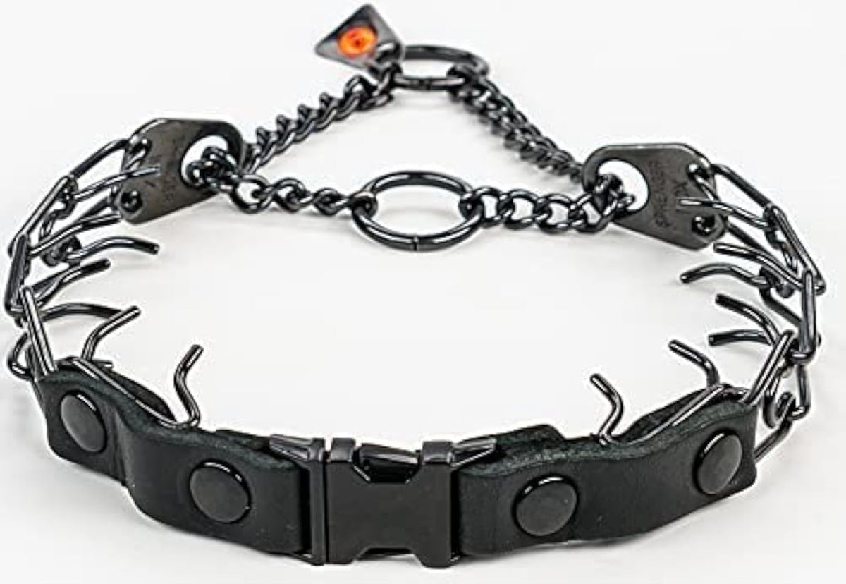 Herm Sprenger quick-release buckle collar shows fast, safe leash attachment for smoother training sessions.