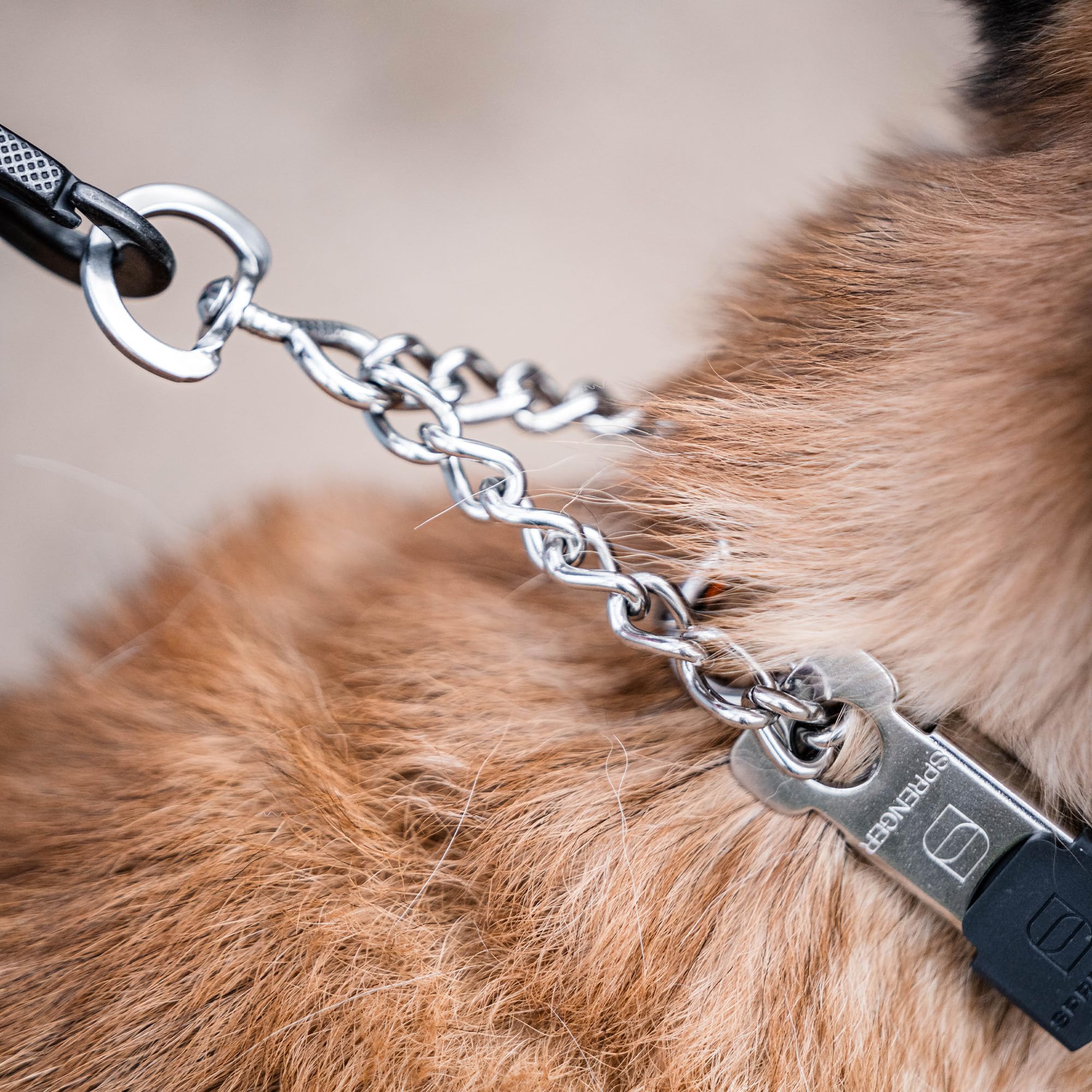 Herm Sprenger removable links offer precise sizing for a snug fit