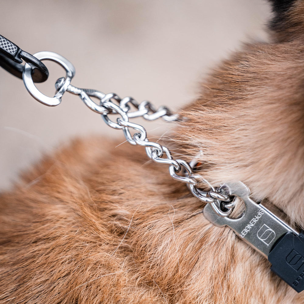 Herm Sprenger removable links offer precise sizing for a snug fit