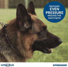 Herm Sprenger collar with rounded link ends to minimize neck irritation during correction