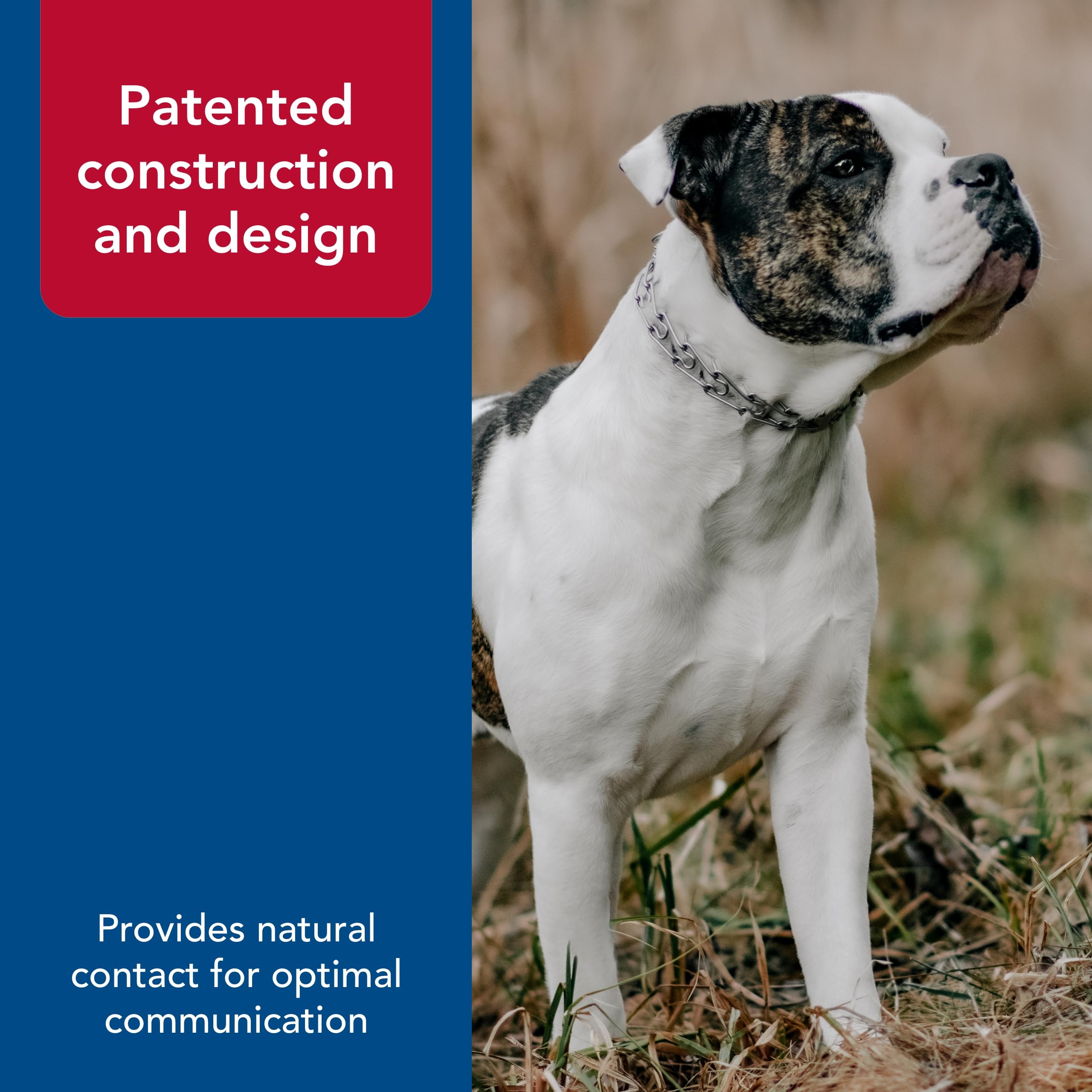 Herm Sprenger Ultra-Plus collar closeup highlights robust steel construction and craftsmanship.