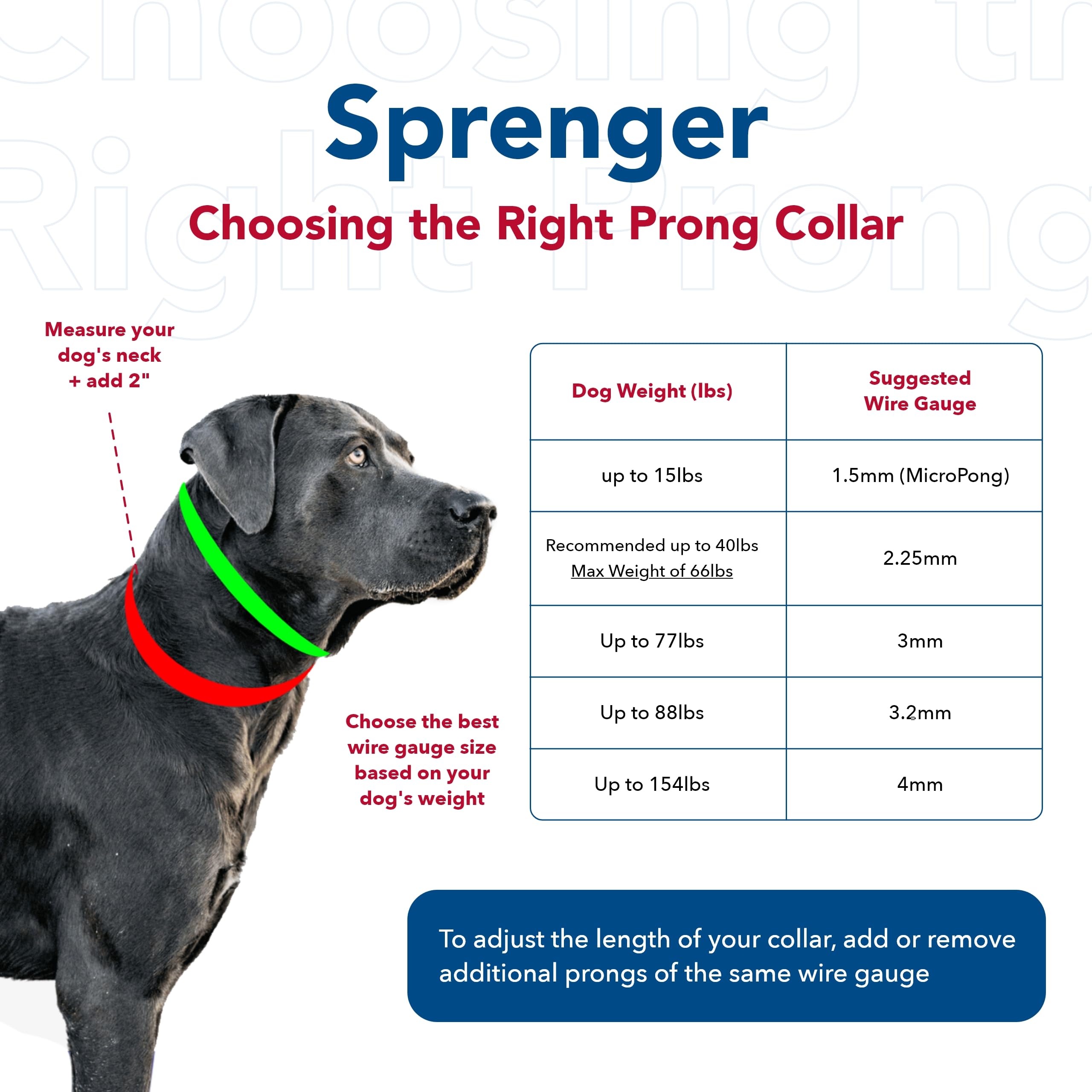 Herm Sprenger Ultra-Plus prong collar chrome chain detail emphasizes long-lasting durability