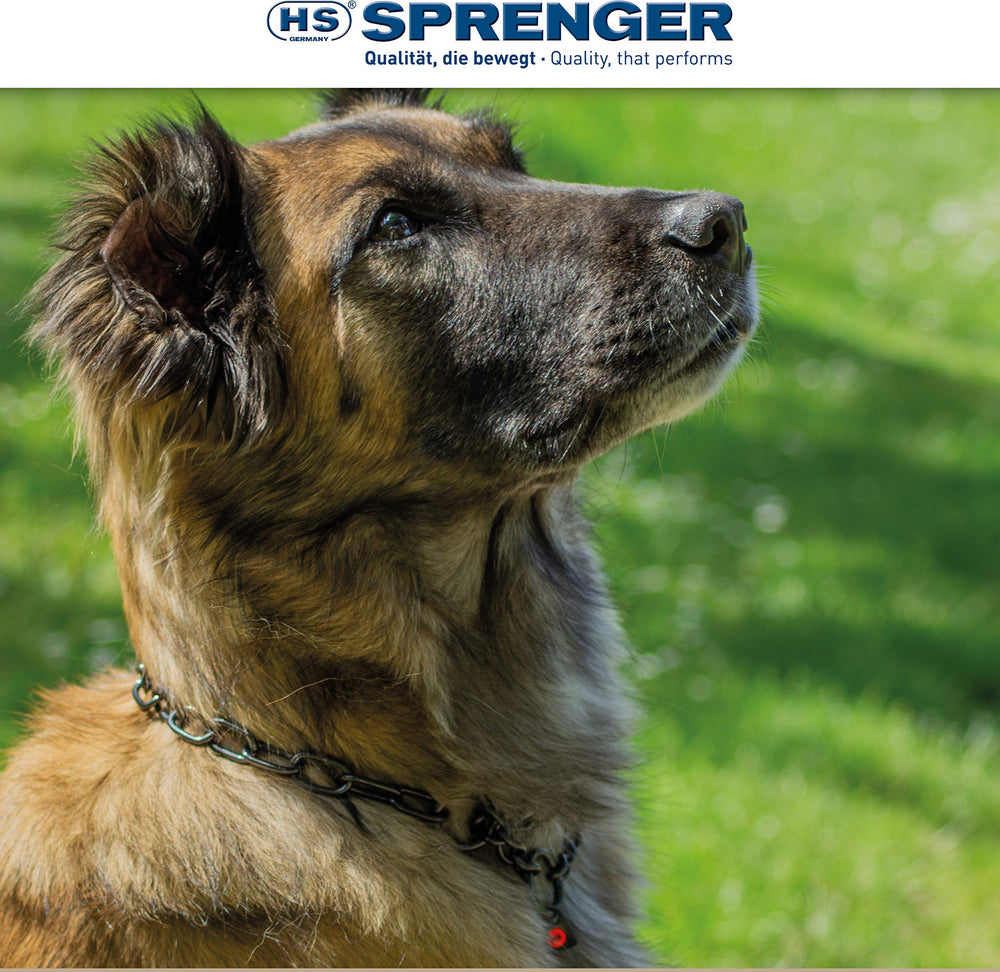 Herm Sprenger welded links demonstrate durability and rust resistance for everyday use.