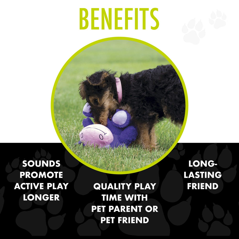 Hero Chuckles audio-symphony-crunch-squeak-chuckle demonstrates varied play sounds.