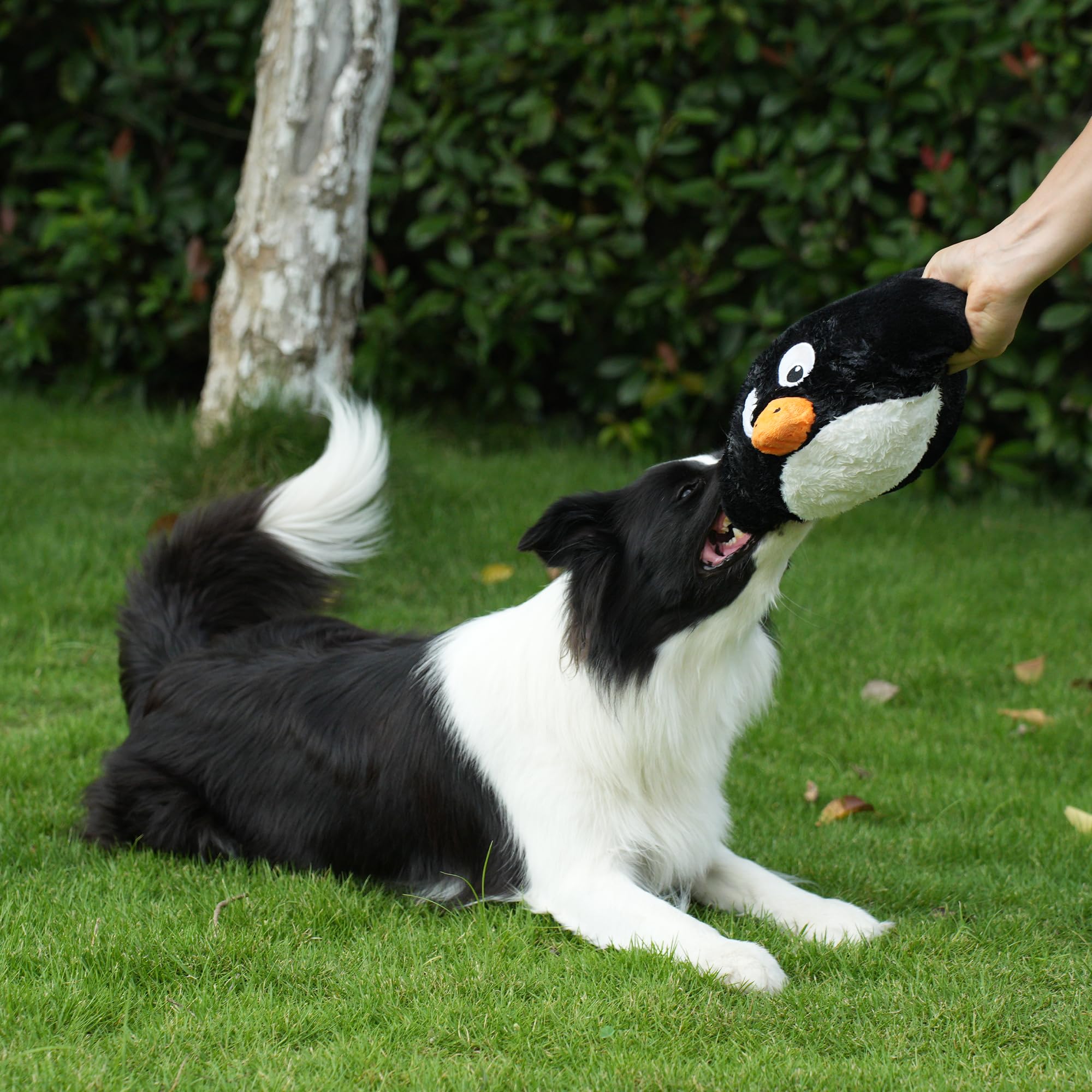 Hero Chuckles ball toy chatterbox closeup highlights three sounds for dog entertainment.