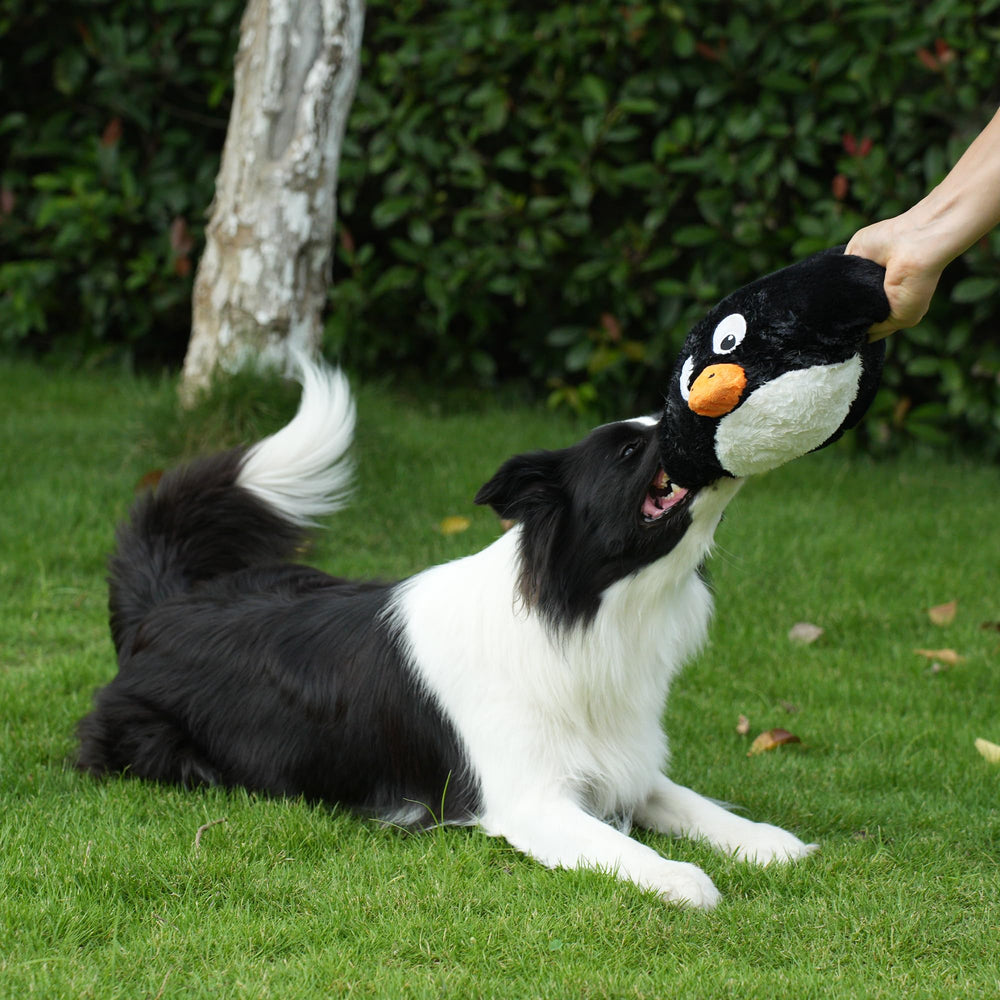 Hero Chuckles ball toy chatterbox closeup highlights three sounds for dog entertainment.