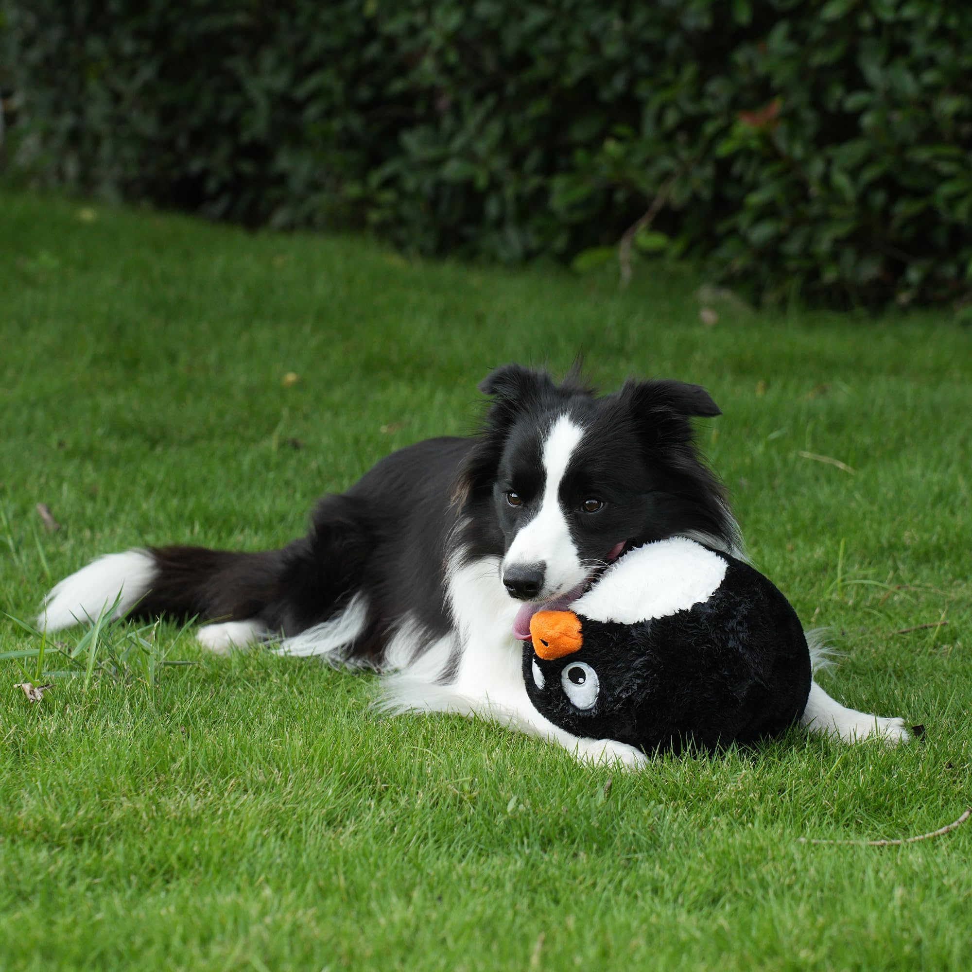 Hero Chuckles ball toy colorful patterns visible for visually stimulating dogs.