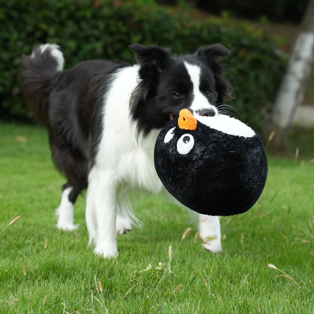Hero Chuckles ball toy puppy-joy scene suitable for young dogs.