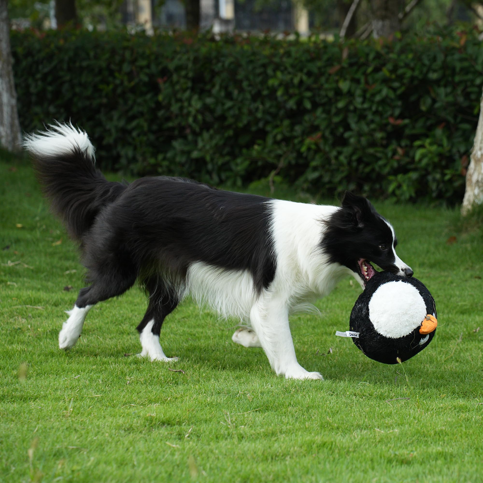 Hero Chuckles ball toy laminated mesh design signals safe, teeth-friendly play.