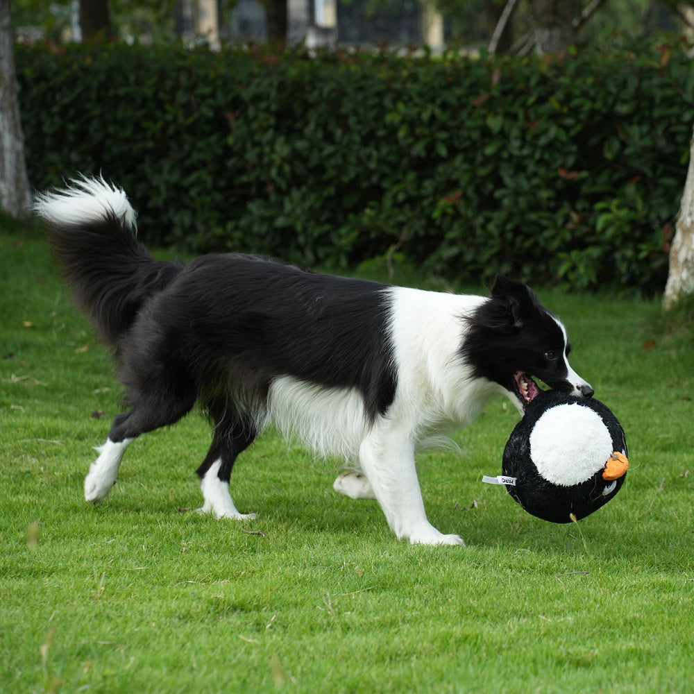 Hero Chuckles ball toy laminated mesh design signals safe, teeth-friendly play.