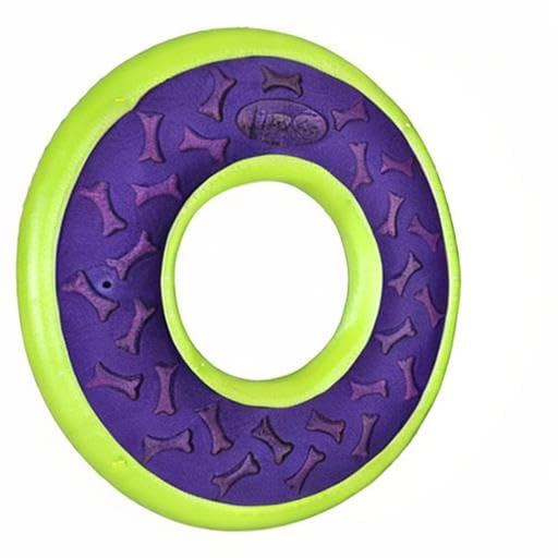 Hero Outer Armor dog play session outdoors with ring toy