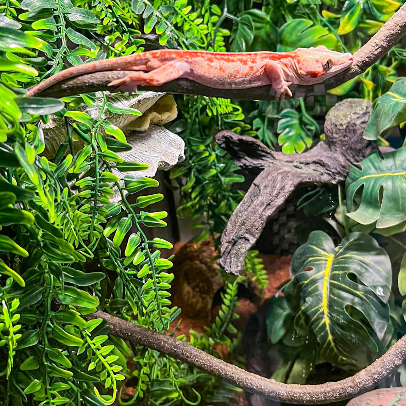 HERCOCCI reptile habitat decoration leaves create vibrant, safe hiding spots.