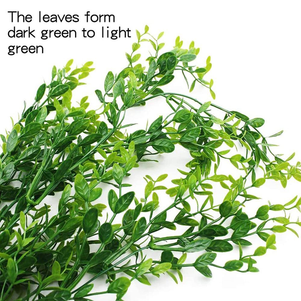 HERCOCCI suction cup mounting secures greenery in terrariums for stable decor.