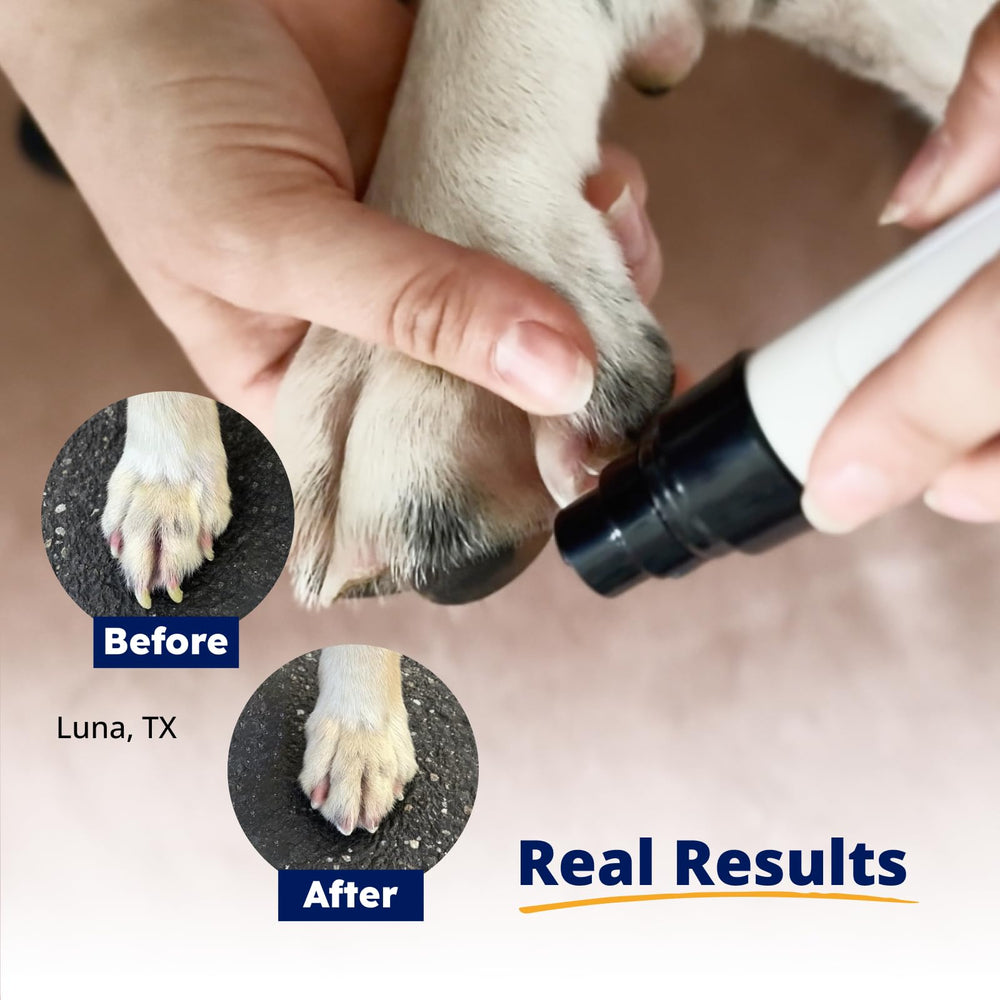 Heusom Silent Groom Pro in-use on a cat for gentle nail care.