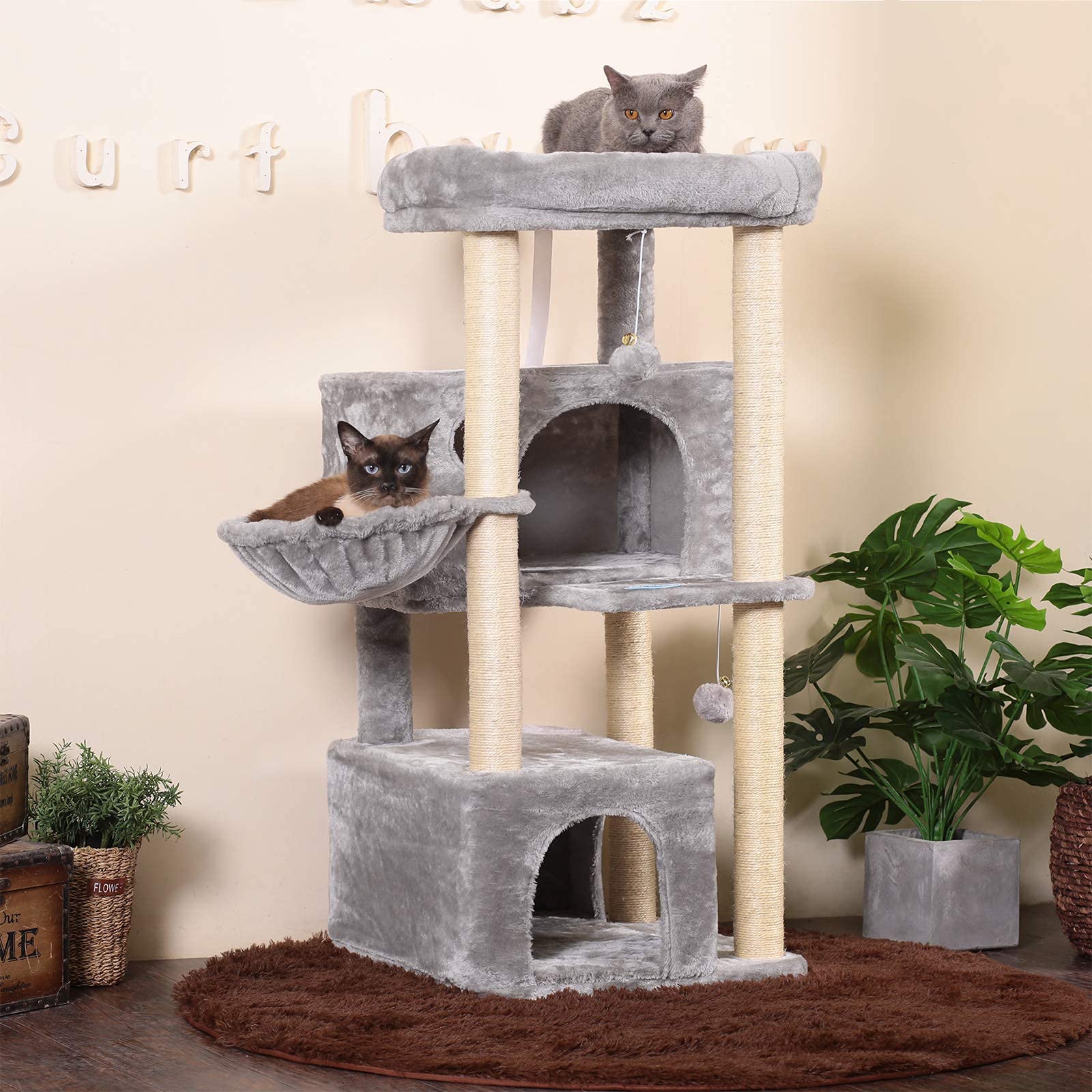 Hey-brother cat tree two condos for cozy naps.