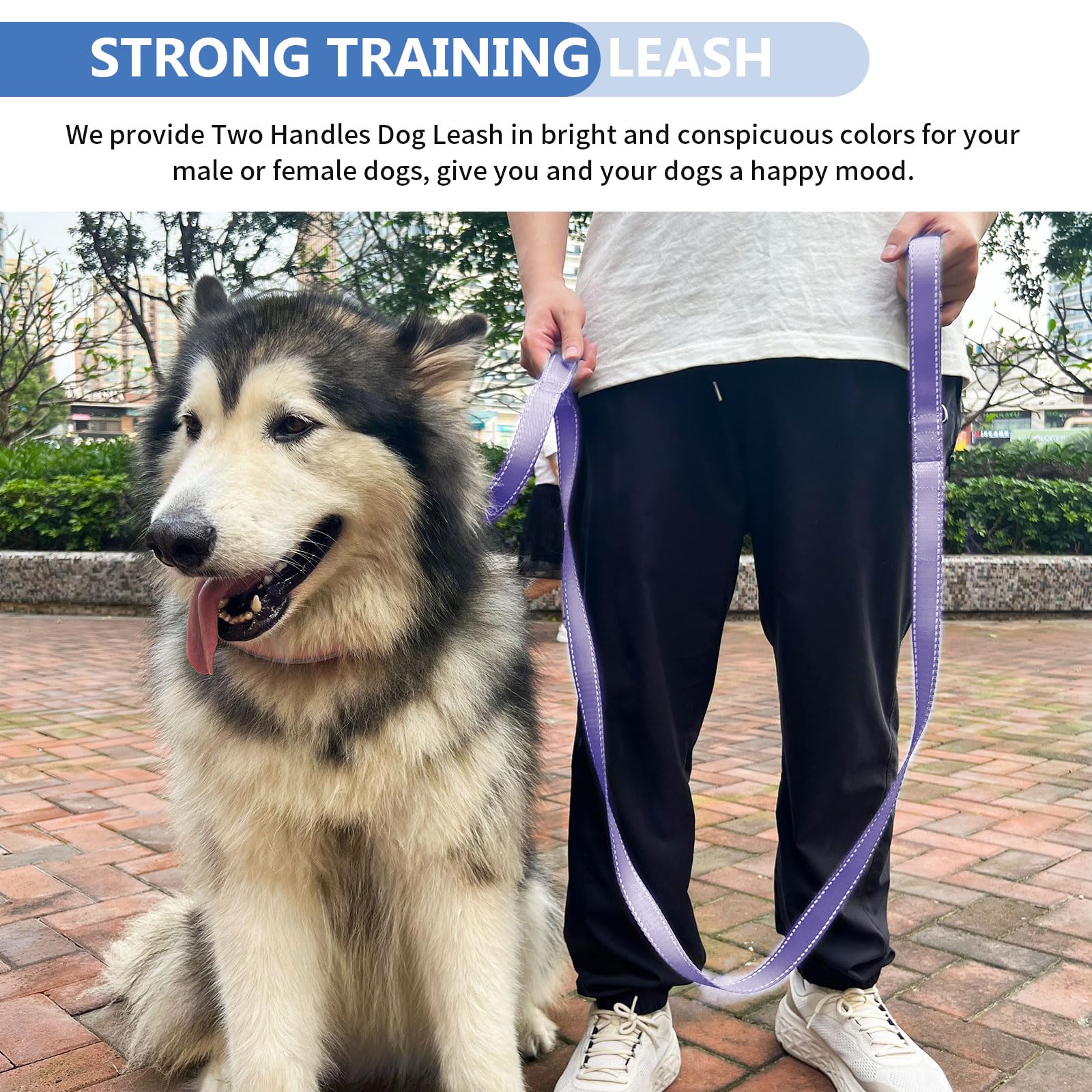 Heydoggy leash in use during an urban walk demonstrating traffic-control grip