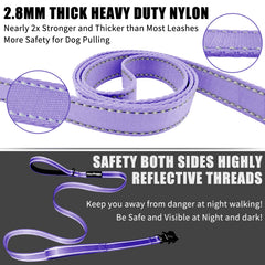 Heydoggy 2.8mm nylon webbing 6ft leash showing length and durability