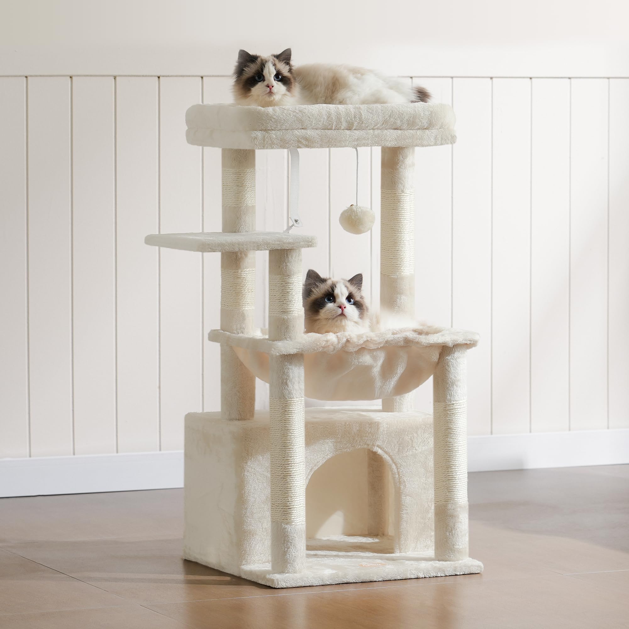 Heybly bed cave provides a soft sanctuary for cozy cat naps.