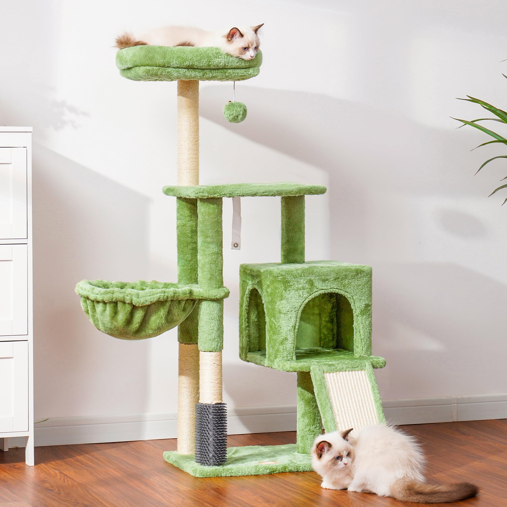Heybly cat house interior view shows secure hideaway for cats.