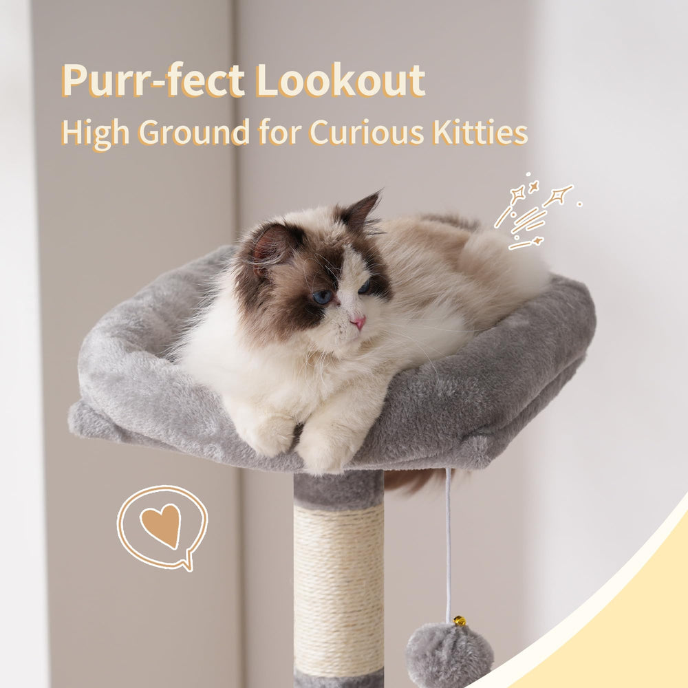 Heybly cat tree spacious house invites quiet daytime privacy.