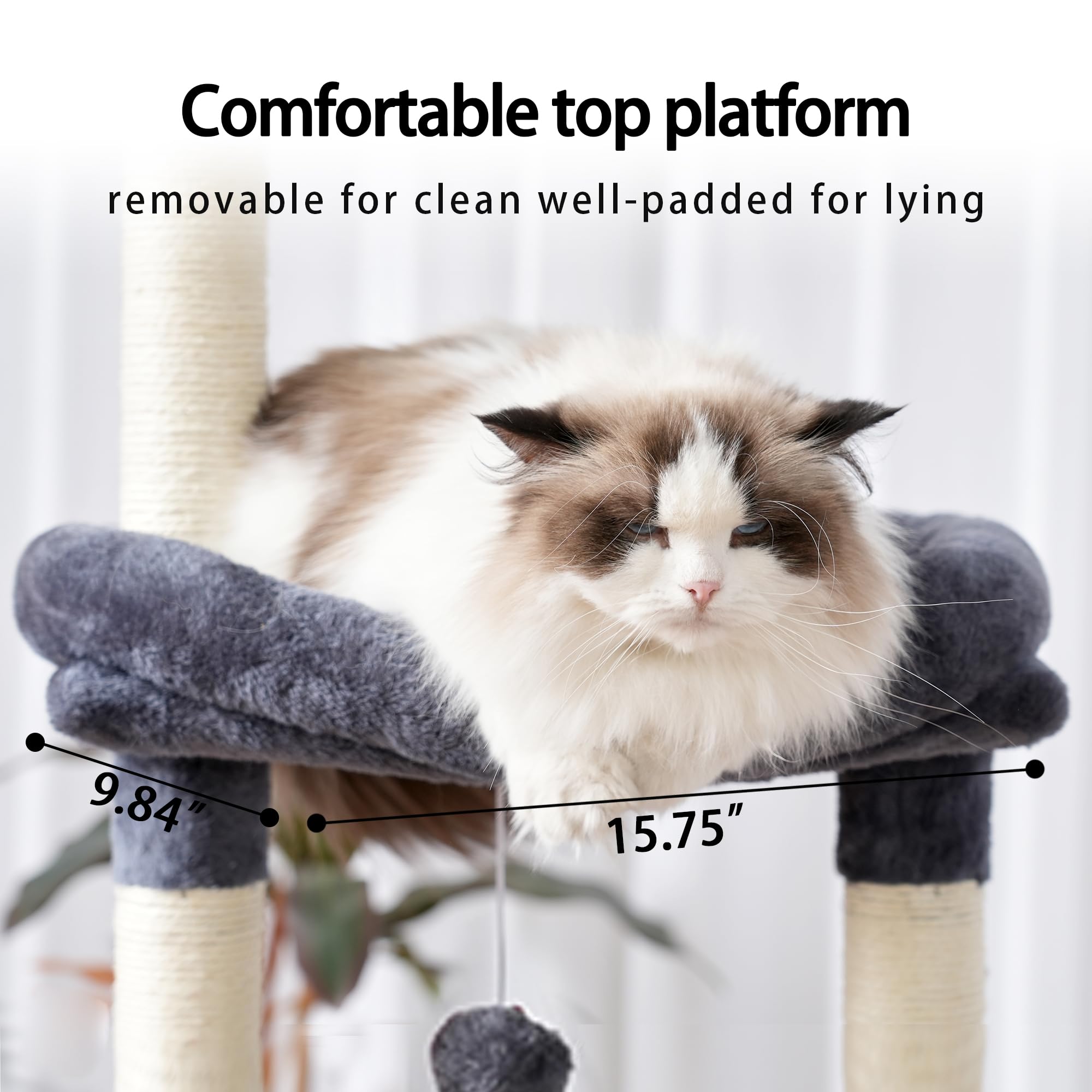 Heybly 10 scratching posts encourage scratching and play without furniture damage.