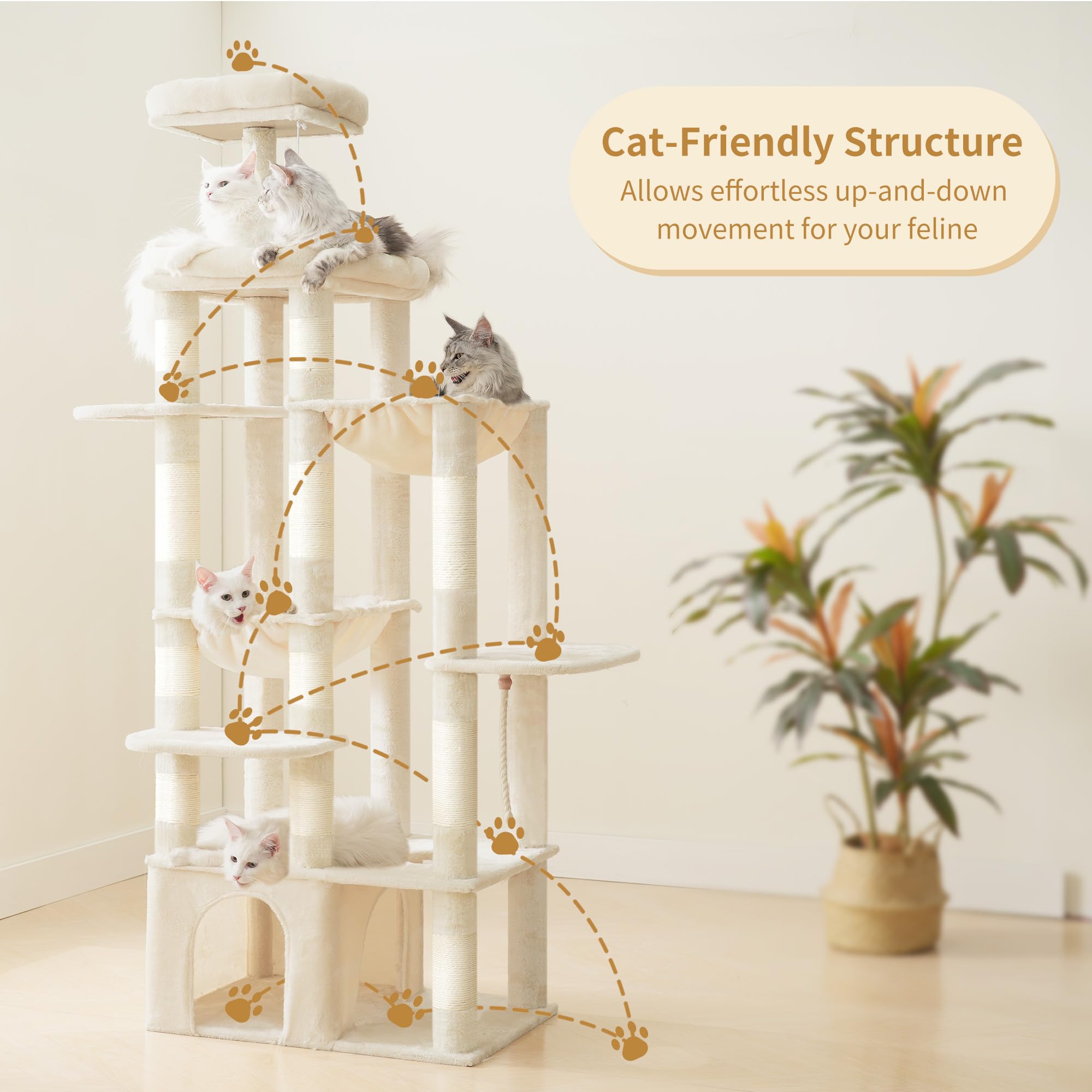 Heybly Cat Tree top perch view offers expansive outlook for Maine Coon cats.
