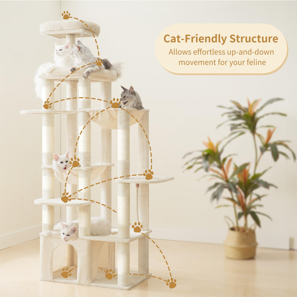 Heybly Cat Tree top perch view offers expansive outlook for Maine Coon cats.