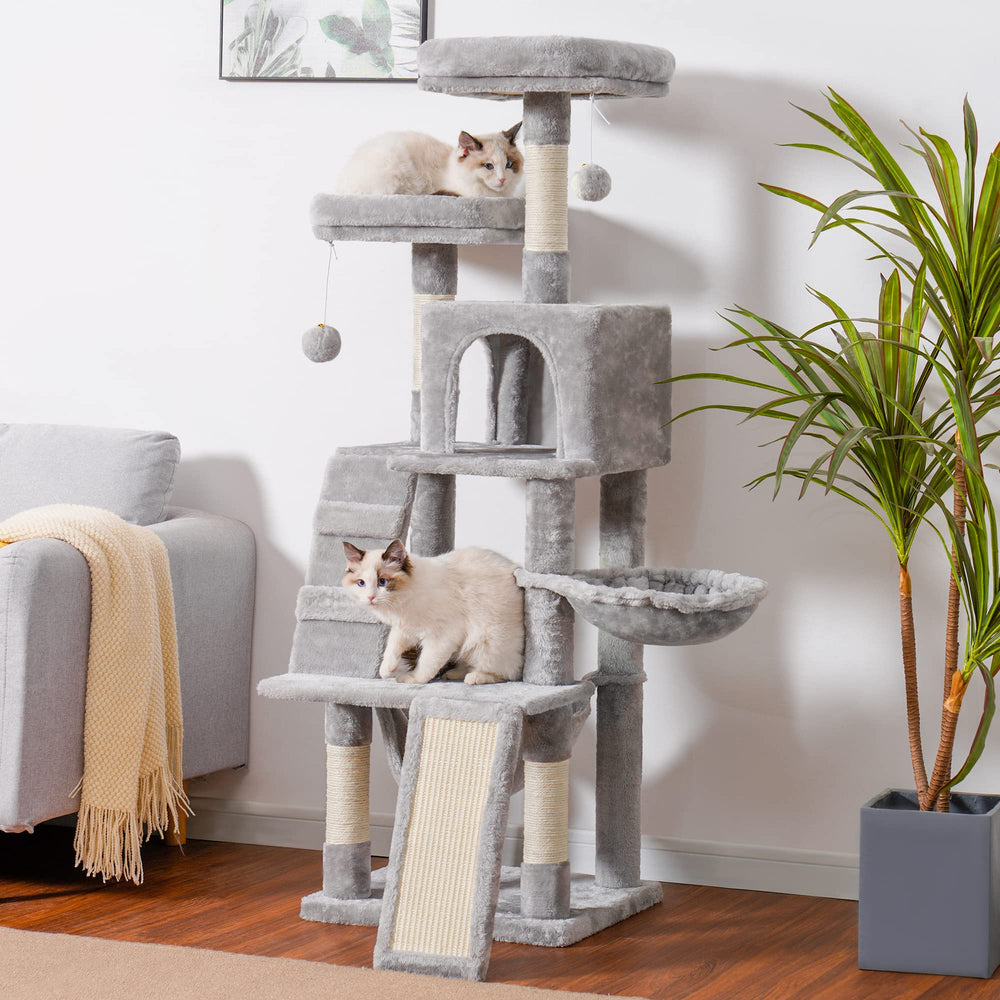 Heybly cat tree dual-level perch provides elevated views and cozy lounging