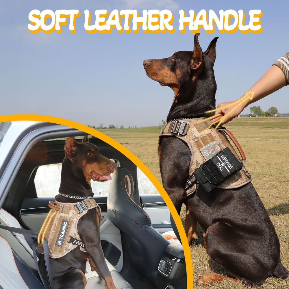 HEYCAHVA AirTag holder and reflective stitching boost safety during night activities.