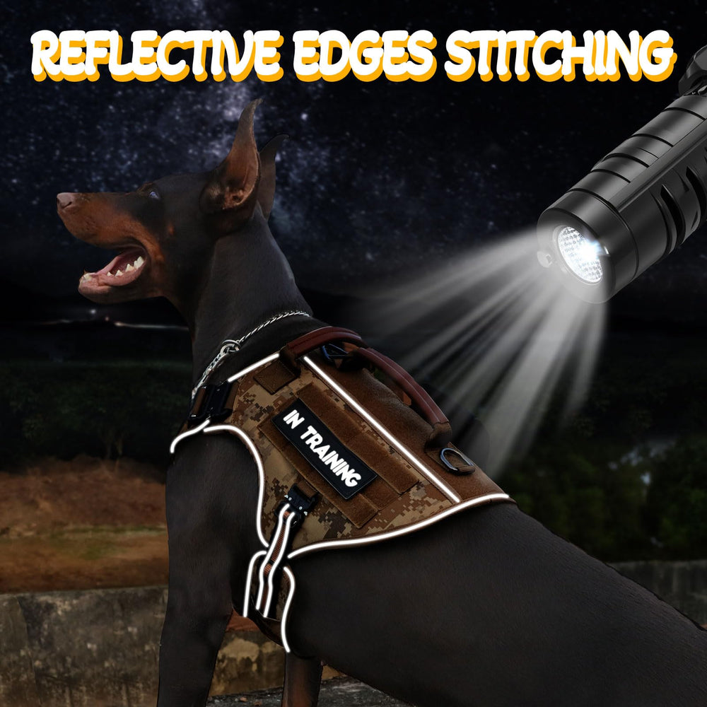 HEYCAHVA MOLLE system supports pouches and accessories for adventures.