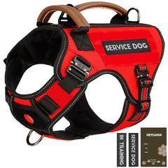 HEYCAHVA Service Dog Vest front view shows secure fit for daily training.
