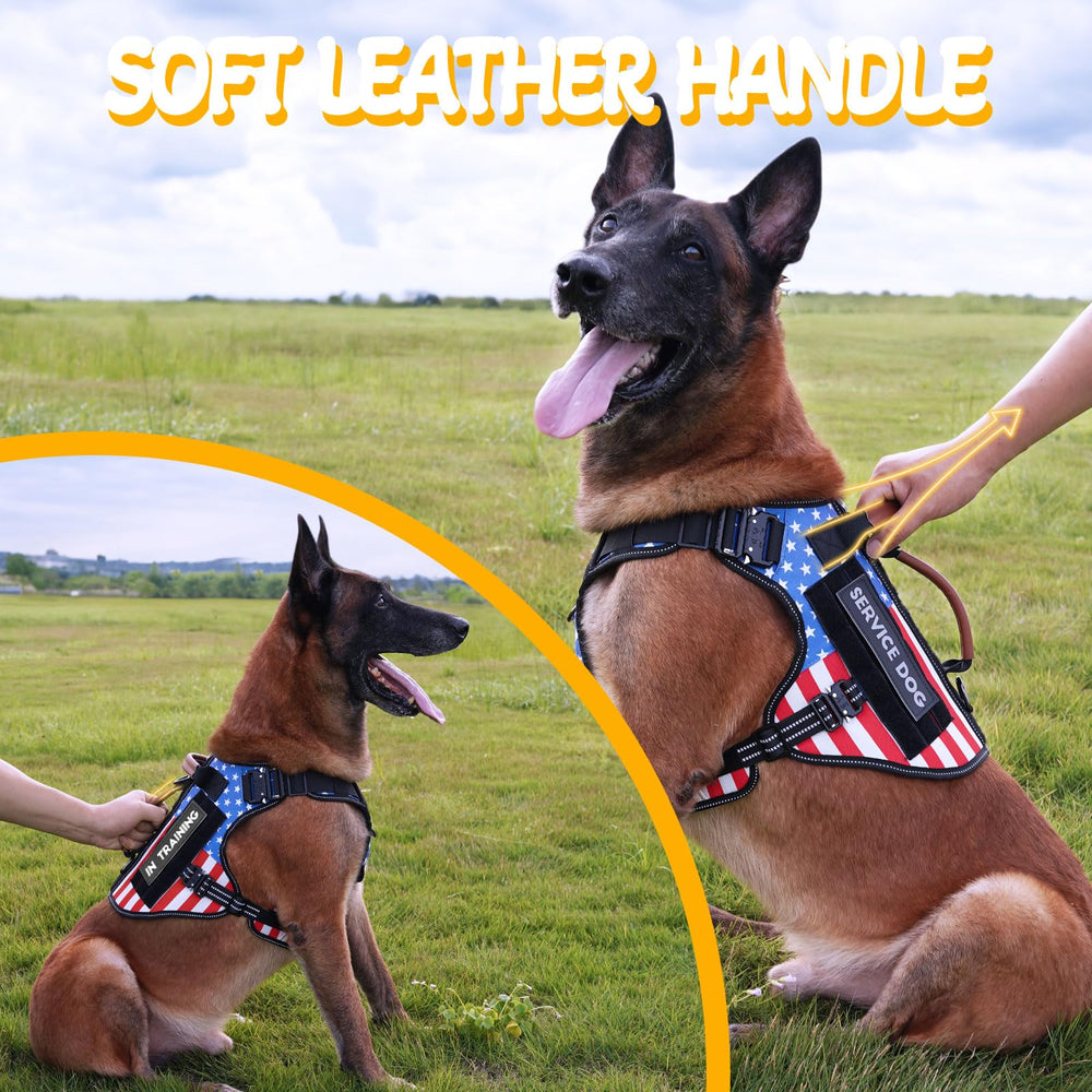 HEYCAHVA service dog vest with leather handles for controlled guidance
