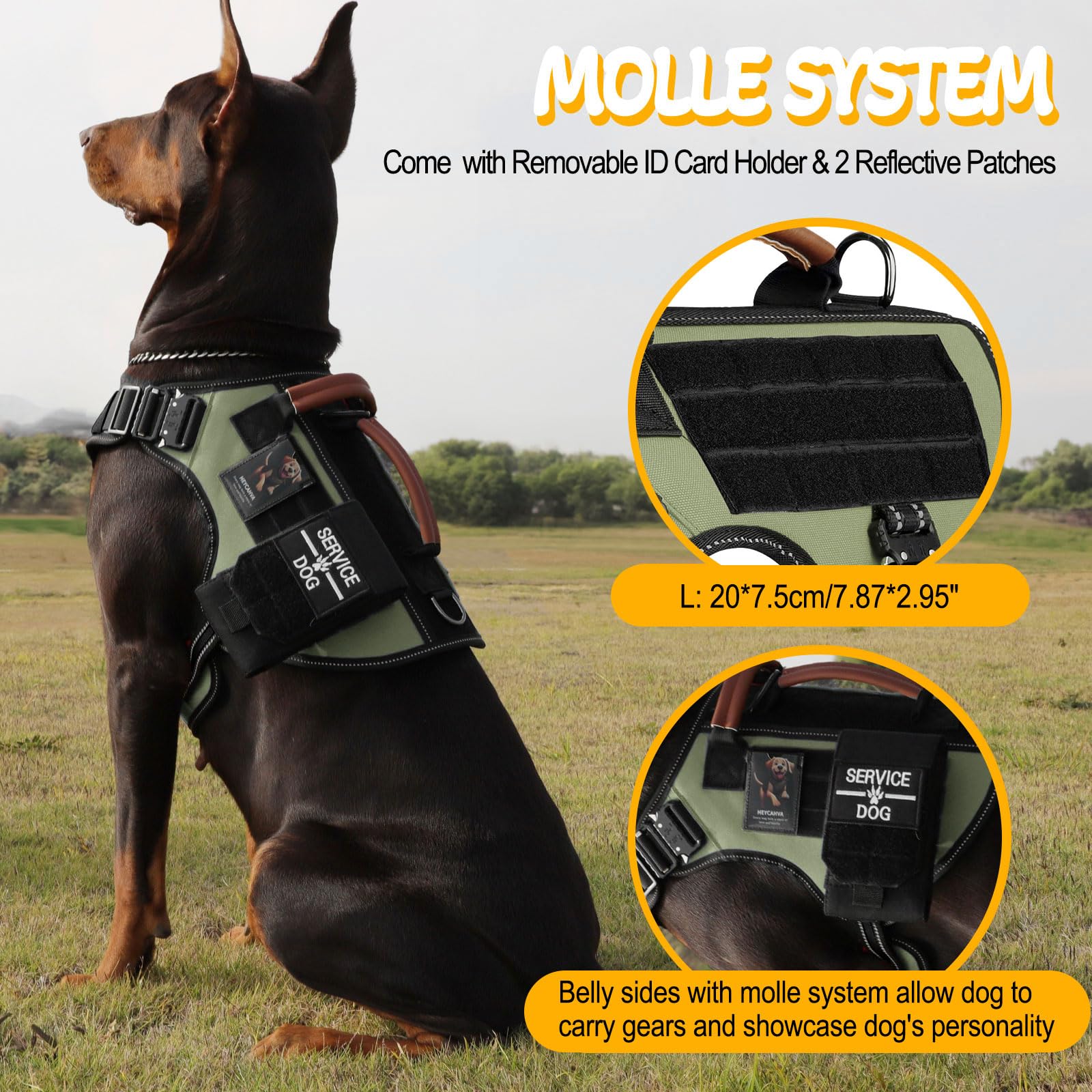 HEYCAHVA anti-pull front clip and rear D-ring for versatile walks.