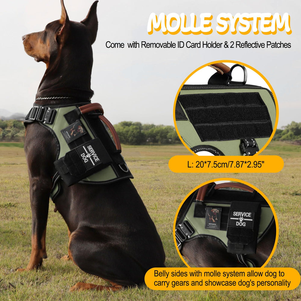 HEYCAHVA anti-pull front clip and rear D-ring for versatile walks.