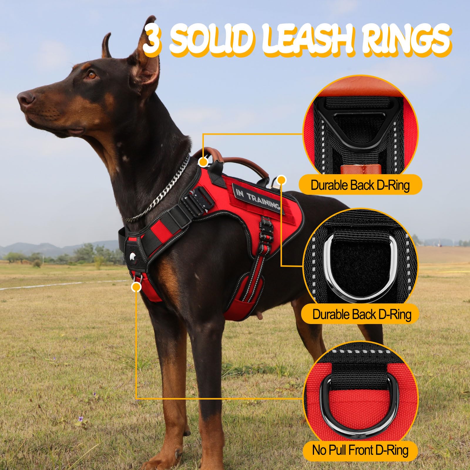 HEYCAHVA harness with anti-pull front clip and rear D-ring for versatile control