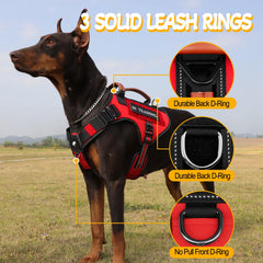 HEYCAHVA harness with anti-pull front clip and rear D-ring for versatile control