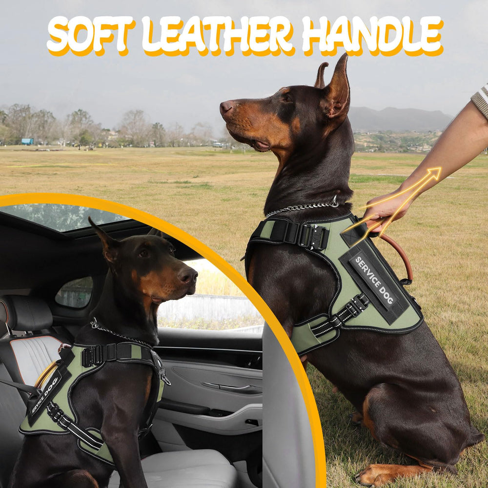 HEYCAHVA tactical harness close-up demonstrates rugged metal buckle construction.