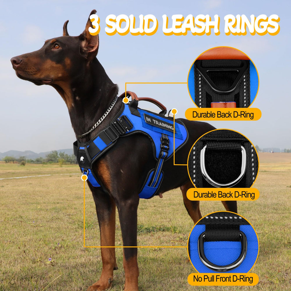 HEYCAHVA MOLLE system supports pouches and gear for adventures.