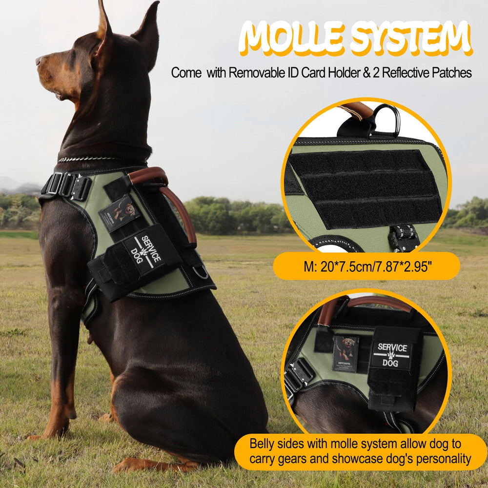 HEYCAHVA reflective stitching enhances night visibility for safer evening walks.