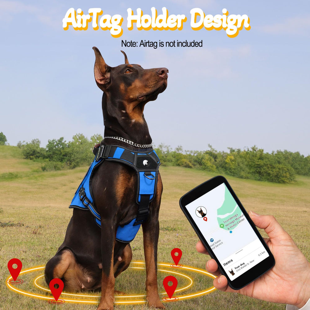 HEYCAHVA removable ID card keeps essential info accessible during hikes.