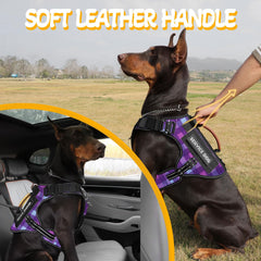 HEYCAHVA harness no-pull front clip helps reduce pulling without choking