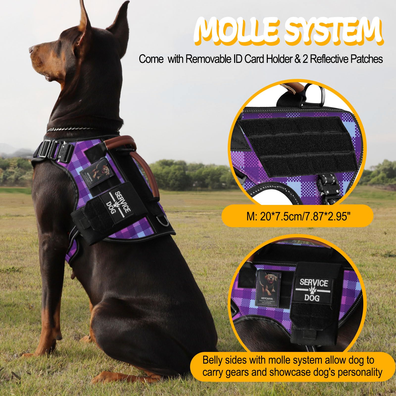 HEYCAHVA harness reflective stitching boosts night visibility