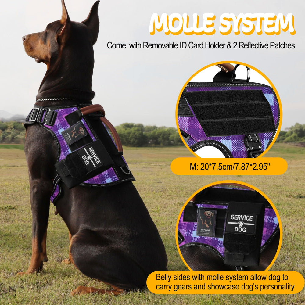 HEYCAHVA harness reflective stitching boosts night visibility