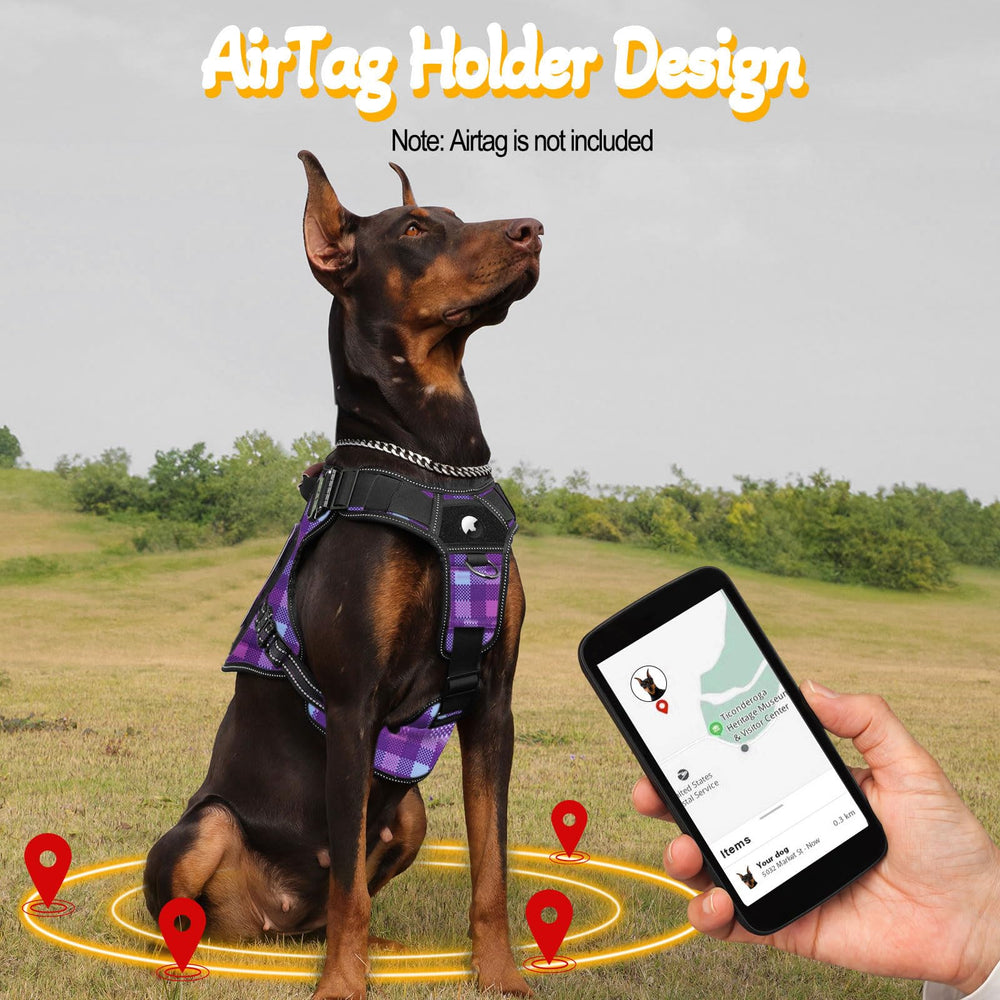 HEYCAHVA harness removable ID card for essential info during outings