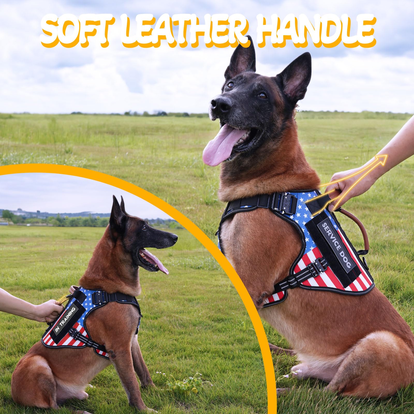 HEYCAHVA vest with anti-pull front clip reduces strain during walks.