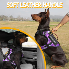 HeyCAHVA harness leather handle detail for controlled lifting and guiding.