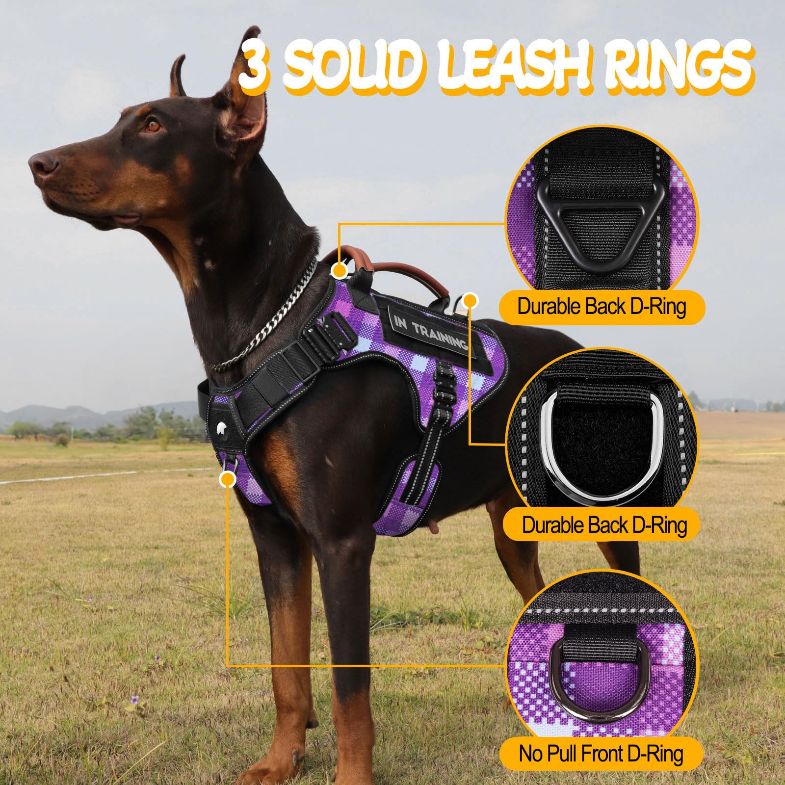 HeyCAHVA harness reflective stitching for night visibility and safety.