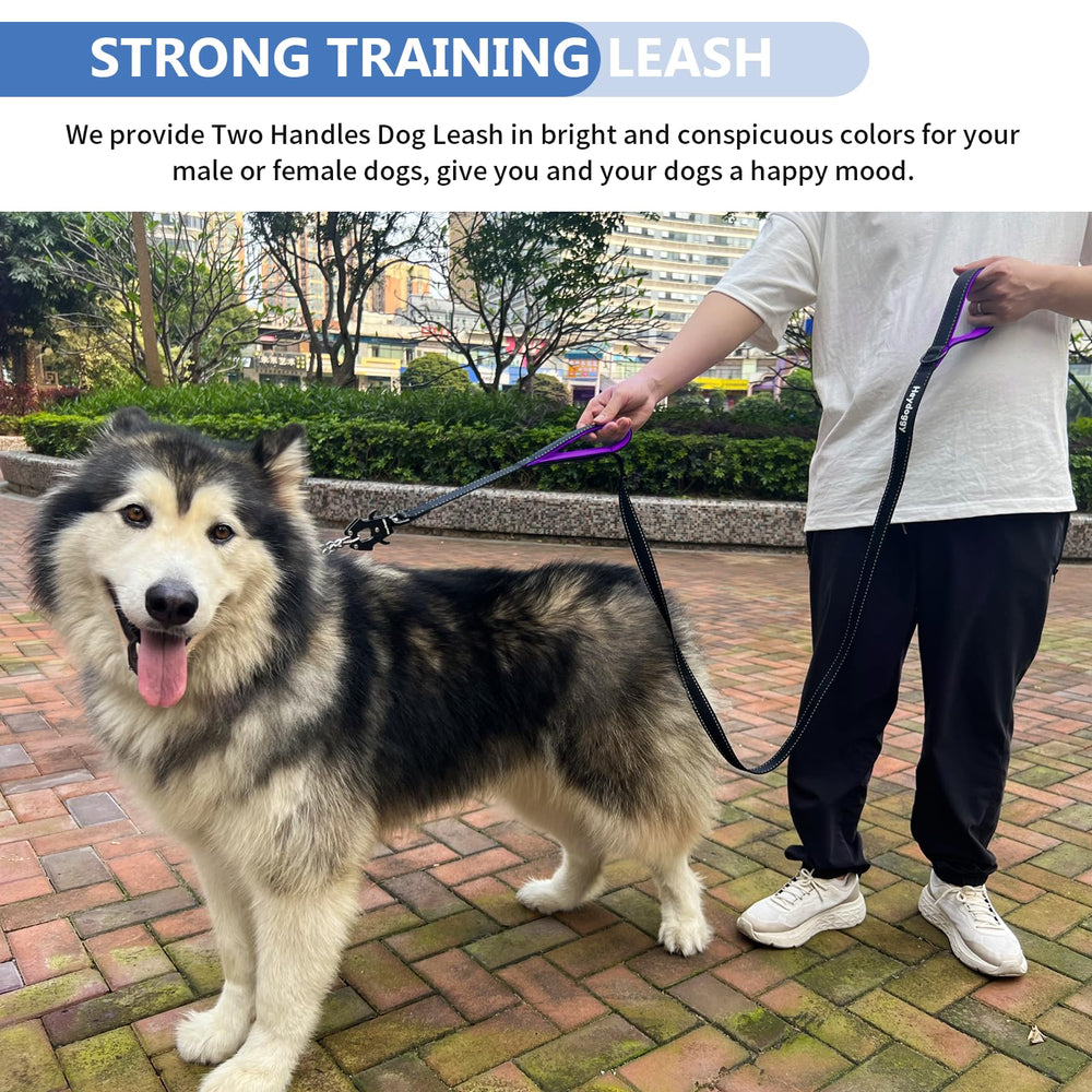 Heydoggy D-ring training leash enables adding training tools while keeping hands comfortable.