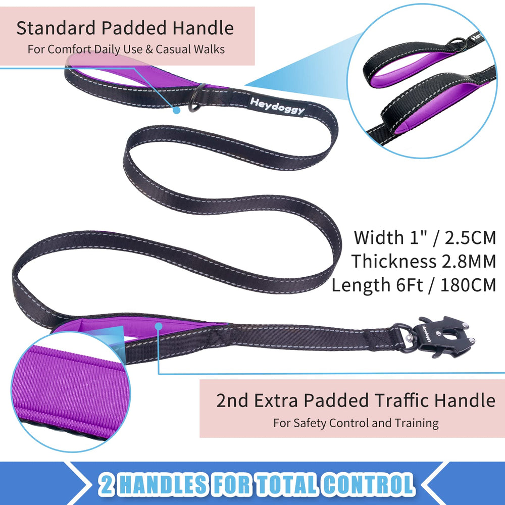 Heydoggy traffic-control leash with quick-access clip for busy sidewalks and training sessions.